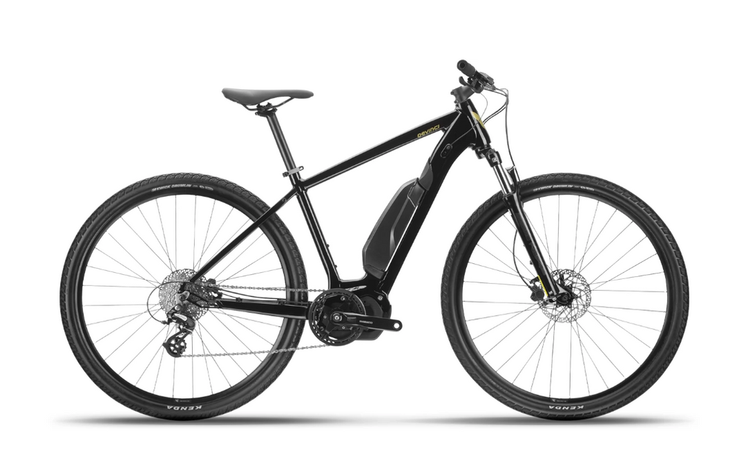 Devinci E-Cartier
