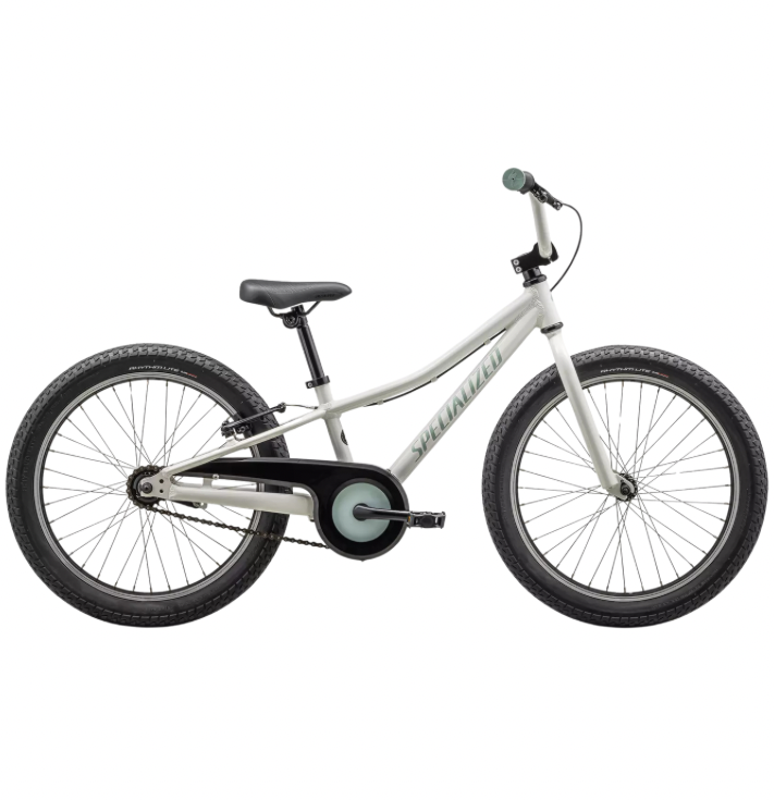 Specialized Riprock Coaster 20