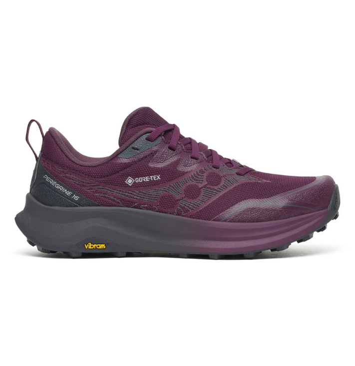 Saucony Ride TR3 GTX W